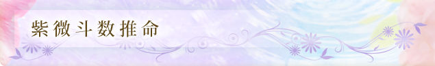 紫微斗数推命